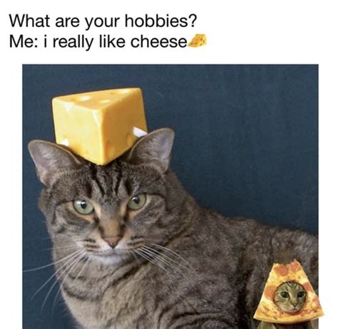 National Cheese Lovers Day 2023 Meme - Technewssources.com