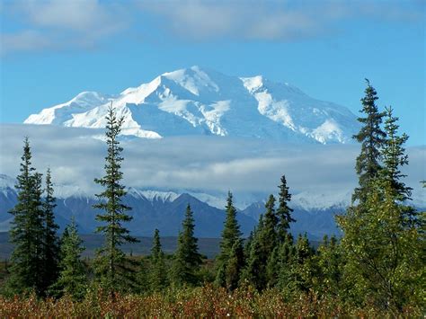 Mt. McKinley | Alaska northern lights, Denali alaska, Denali national park