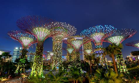 Why KL keeps cutting down trees while Singapore doesn’t?!