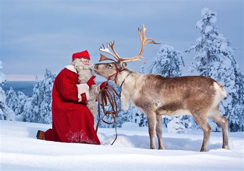 Pin on Christmas in Finland