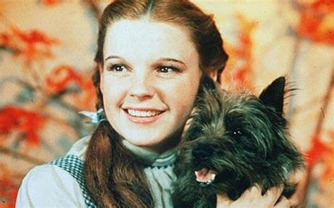 Who Played Toto the Dog in the "Wizard of Oz?" - ReelRundown