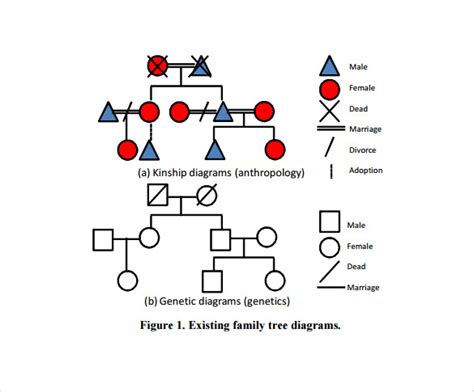 How To Make A Kinship Diagram - General Wiring Diagram