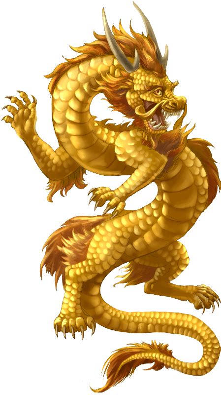 Gold Dragon transparent PNG - StickPNG