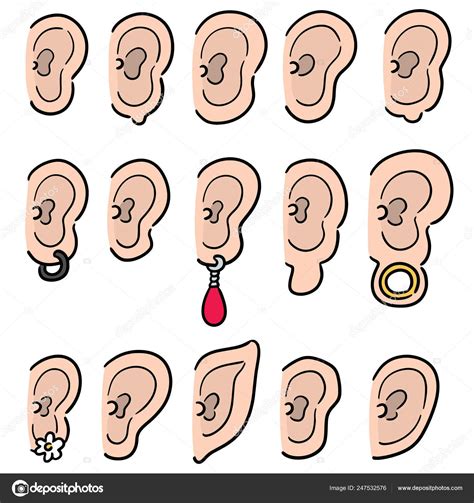 Download - Vector set of ear — Stock Illustration | Vector ...