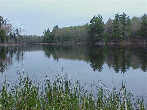 Chequamegon-Nicolet National Forest - Rainbow Lake Wilderness