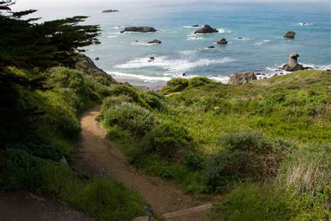 Discover the Best Sonoma County Hiking Trails