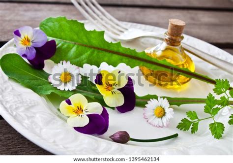 57 Daisy Leaves Eatable Images, Stock Photos & Vectors | Shutterstock