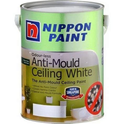 Anti Mould Ceiling Paint at Rs 150/litre | Washermanpet | Chennai | ID: 19396365262