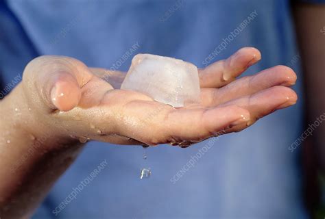 Melting Ice Cube - Stock Image - C027/9759 - Science Photo Library