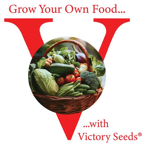 Victory Garden Starter Pack™ - Victory Seeds® – Victory Seed Company