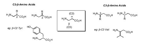 β-Amino Acids Analysis Service - Creative Proteomics