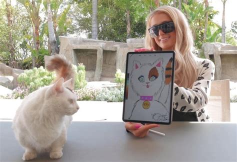 Paris Hilton auctions her cat's portrait as an NFT token on the ...