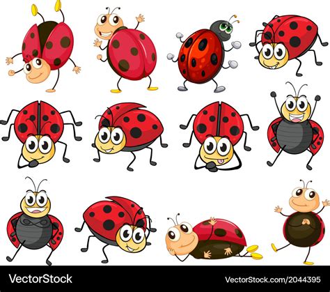 Cute ladybugs Royalty Free Vector Image - VectorStock