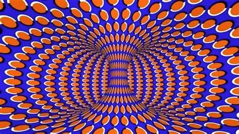 20 Optical Illusions That Reveal A Lot About Your Character | Illusions, Optical illusions ...