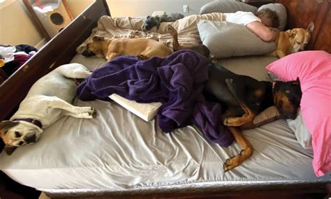 Sleep with your pet? How that may affect you (and your pet) | CNN