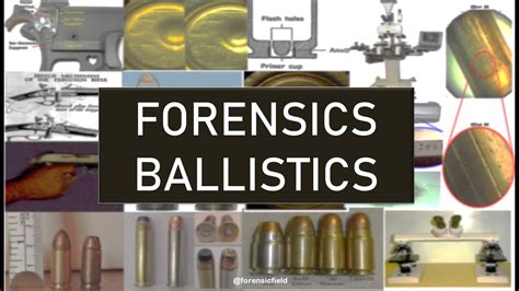 Ballistics Testing Forensic Science