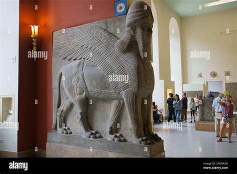 Assyrian lamassu sculpture (human-headed winged bull), Pergamon Stock ...