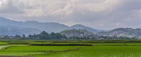 Stories and Postcards from Ziro Valley: Home To The Apatani People