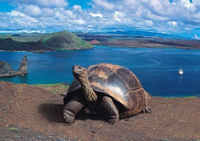 Galapagos Ecuador : Islas Galapagos Geotours Adventure Travel Tour ...