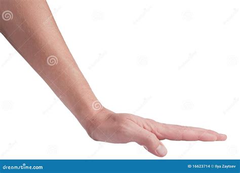 Hand gesture: push stock photo. Image of background, palm - 16623714