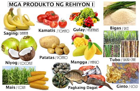 Mga Produkto Ng Rehiyon: Rehiyon 1