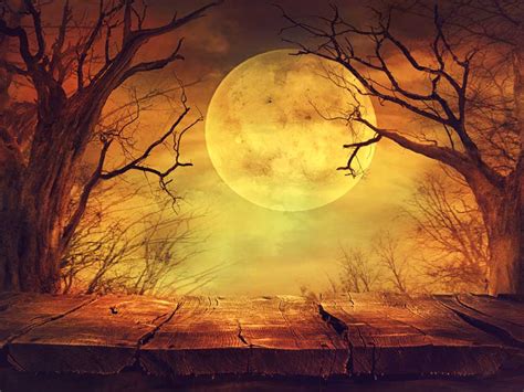 Accessories Home & Garden 10X6.5ft Halloween Background Backdrop Screen ...