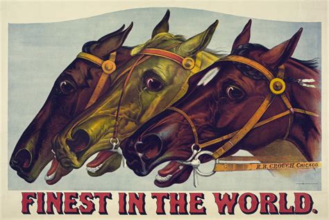 Horse Racing Poster Free Stock Photo - Public Domain Pictures