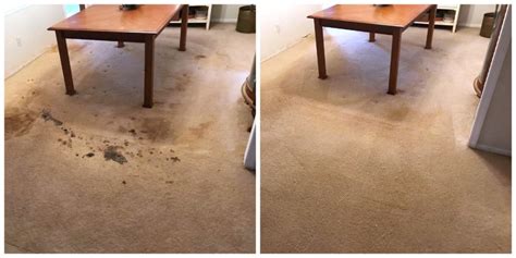 Before & After Carpet Cleaning | McGeorge Brothers Chem-Dry