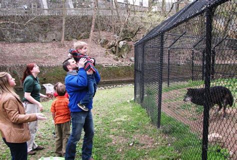 Morning tour at ZooAmerica allows families to wake up with the animals | Outdoors ...