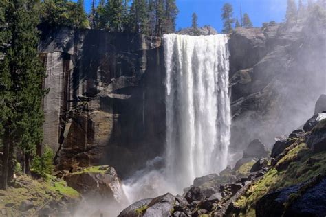 Are Dogs Allowed At Yosemite Falls