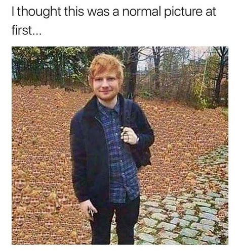 17 Ridiculous Ed Sheeran Memes To Get You Laughing Out Loud | Imágenes graciosas, Chistes para ...