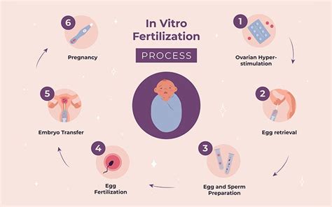 A Guide to the IVF Process & Timeline | by Dr. Rhythm Gupta | Medium