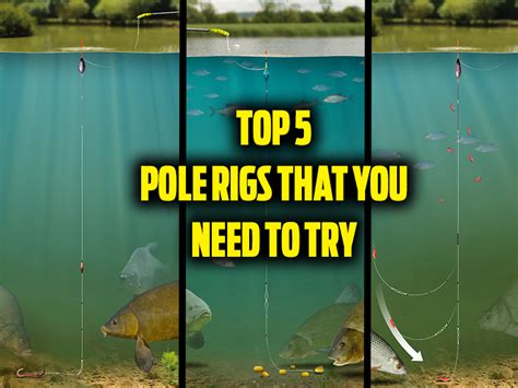 Top 5 pole rigs that you need to try! — Angling Times