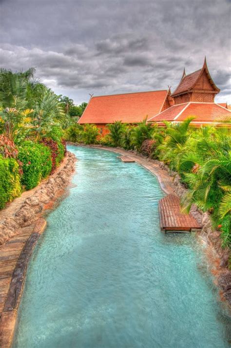 River in the Park with Palms, Tenerife, Canarian Islands Stock Image - Image of jungle, exotic ...