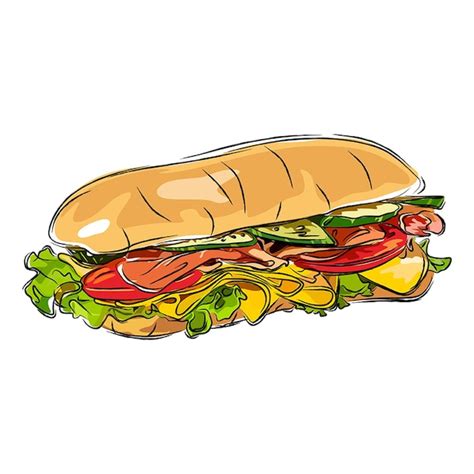 Premium Vector | HAND DRAWN SANDWICH ILUSTRATION