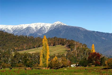 Mount Bogong, Victoria, Australia IMG_5120_Mount_Bogong | Flickr