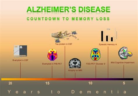 Dementia: Stage 3 Dementia