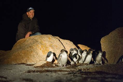 Top 5 Tassie wildlife experiences | Spirit of Tasmania