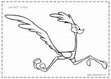 Coyote And Road Runner Coloring Pages sketch template