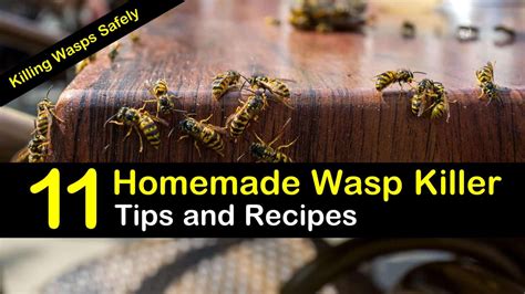 Killing Wasps Safely - 11 Homemade Wasp Killer Tips and Recipes