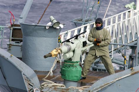 Japan to Launch Commercial Whaling Operations This Summer | Smart News ...