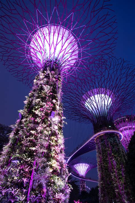 Gardens by the bay lightshow :: Behance