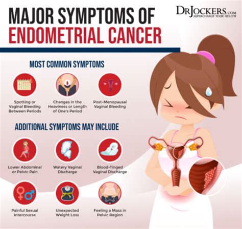 Endometrial Cancer: Symptoms, Causes, and Support Strategies