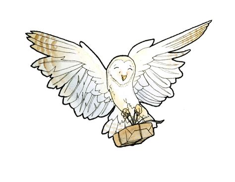 Harry Potter Owl Drawing at GetDrawings | Free download