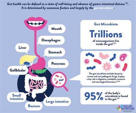 Gut Microbiota For Health