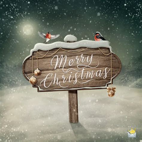 150+ Merry Christmas Wishes | The Season To Be Jolly