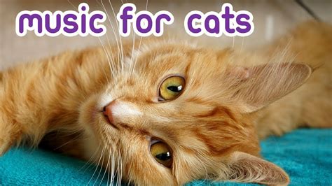 EXTENDED Cat Relaxation Music - Soft, Soothing Feline Lullabies! - YouTube