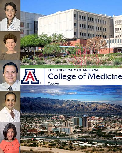 Five DOM Faculty Elected to Six Posts on UA College of Medicine ...