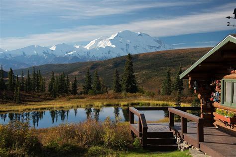 Camp Denali | Unique Place To Stay In Denali National… | ALASKA.ORG