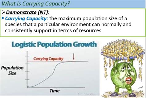 #Ecology# Carrying Capacity | Ecologia